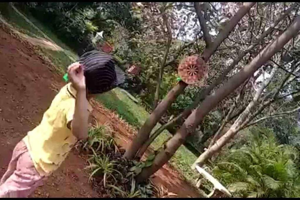 Lobville Homestay Karjat Dış mekan fotoğraf