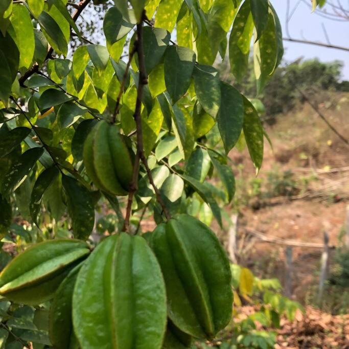 Lobville Homestay Karjat Dış mekan fotoğraf